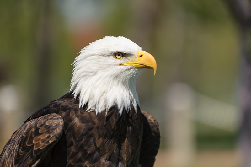 Bundy Didn’t Just Seize My Bird Refuge